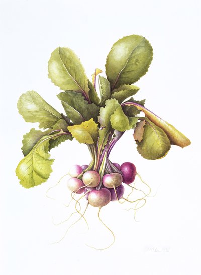 Miniatuur Rapen, 1995 door Margaret Ann Eden